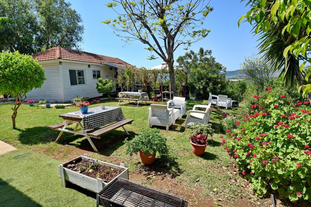 Biktot Nofim Villa Manot Exterior photo